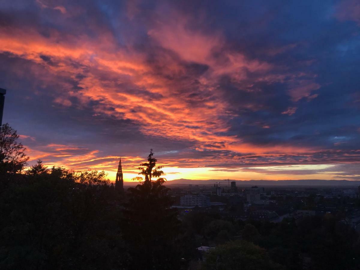 Ferienwohnung-Freiburg-Exklusiv Zewnętrze zdjęcie